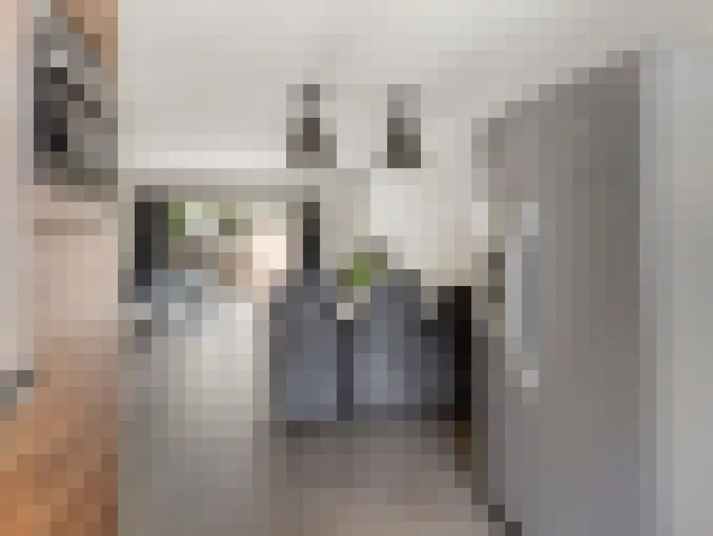 Amerongseberg 33 Utrecht thumbnail 27