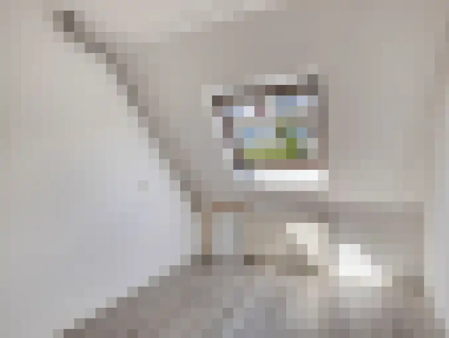 Amerongseberg 33 Utrecht thumbnail 8