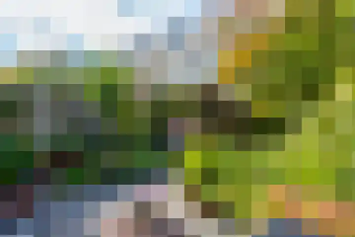 Amerongseberg 35 Utrecht thumbnail 13