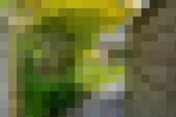 Amerongseberg 35 Utrecht thumbnail 14