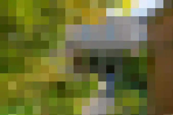 Amerongseberg 35 Utrecht thumbnail 15