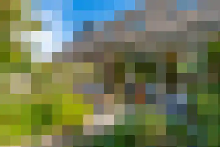 Amerongseberg 35 Utrecht thumbnail 16