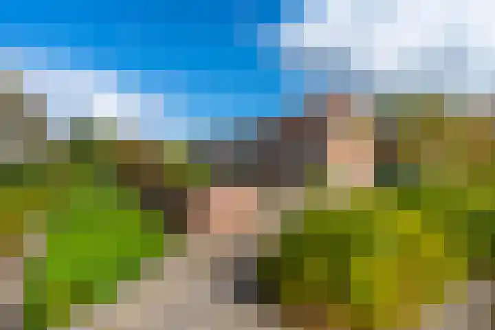 Amerongseberg 35 Utrecht thumbnail 18