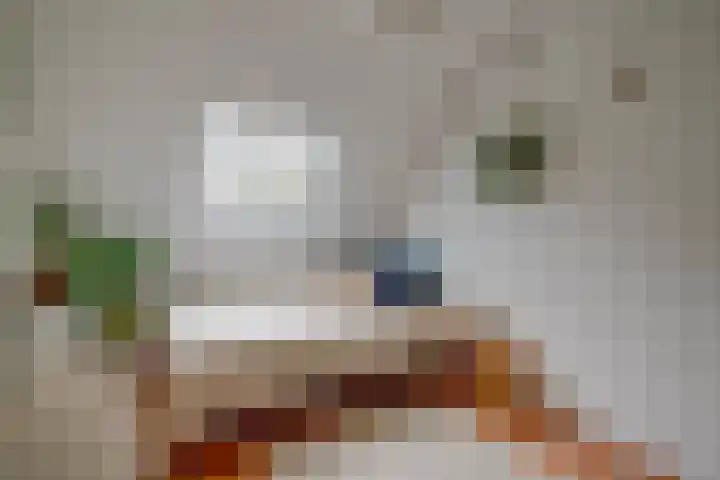 Amerongseberg 35 Utrecht thumbnail 26