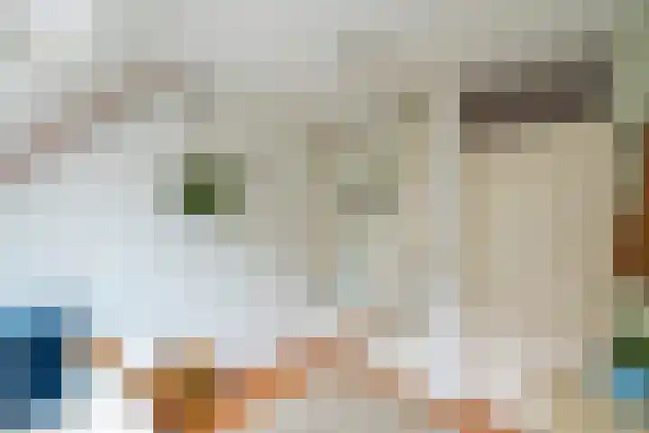 Amerongseberg 35 Utrecht thumbnail 28