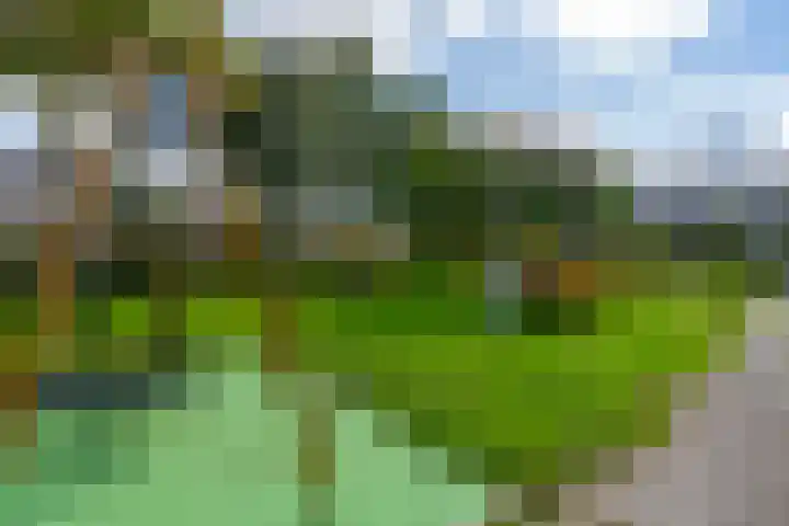 Amerongseberg 35 Utrecht thumbnail 34