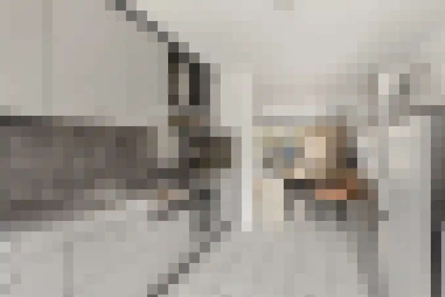 Amerongseberg 9 Utrecht thumbnail 15