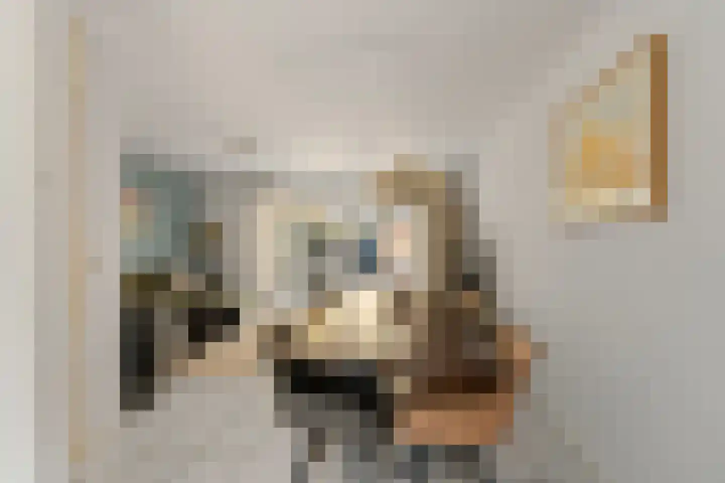 Amerongseberg 9 Utrecht thumbnail 16