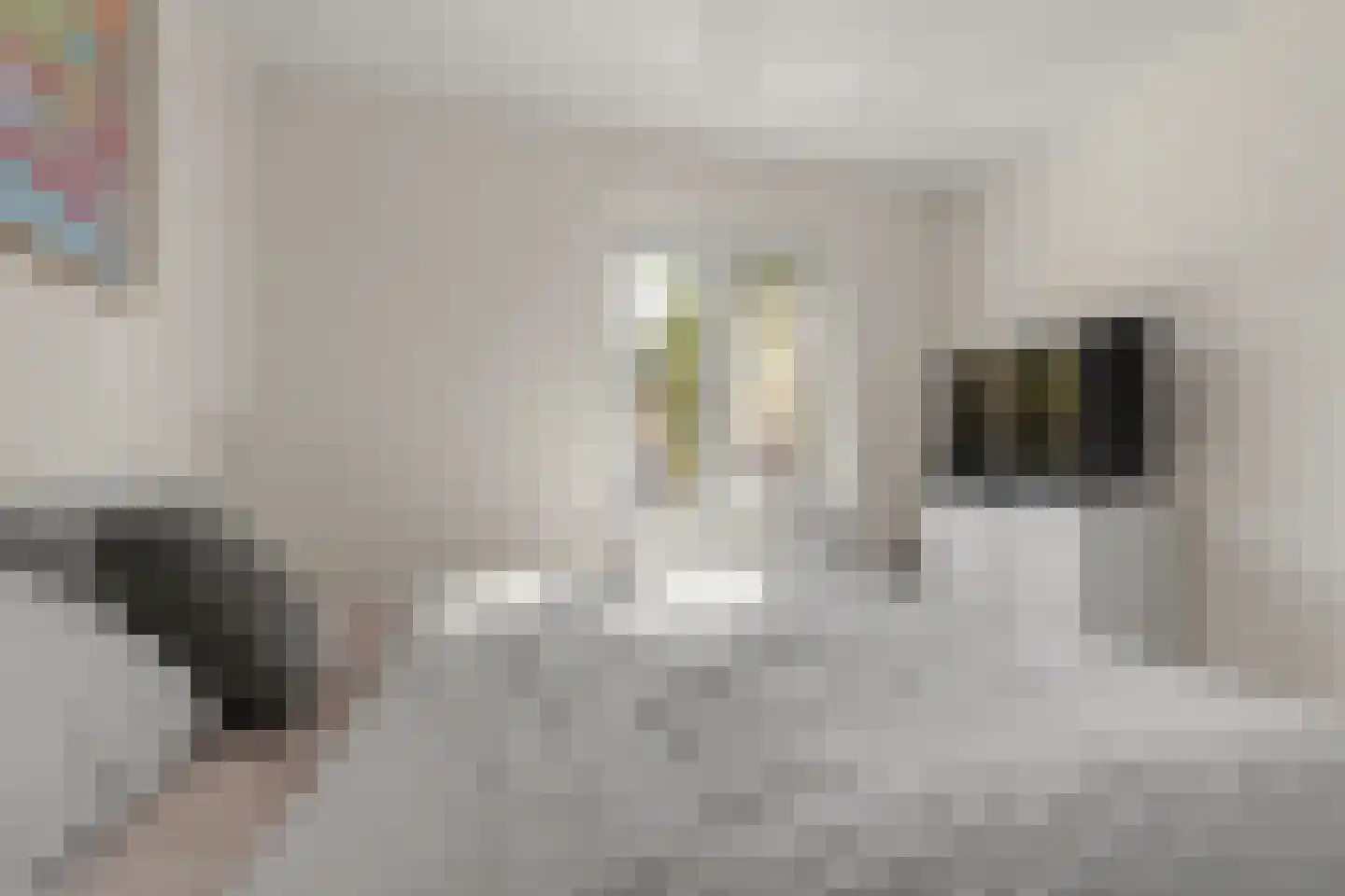 Amerongseberg 9 Utrecht thumbnail 24