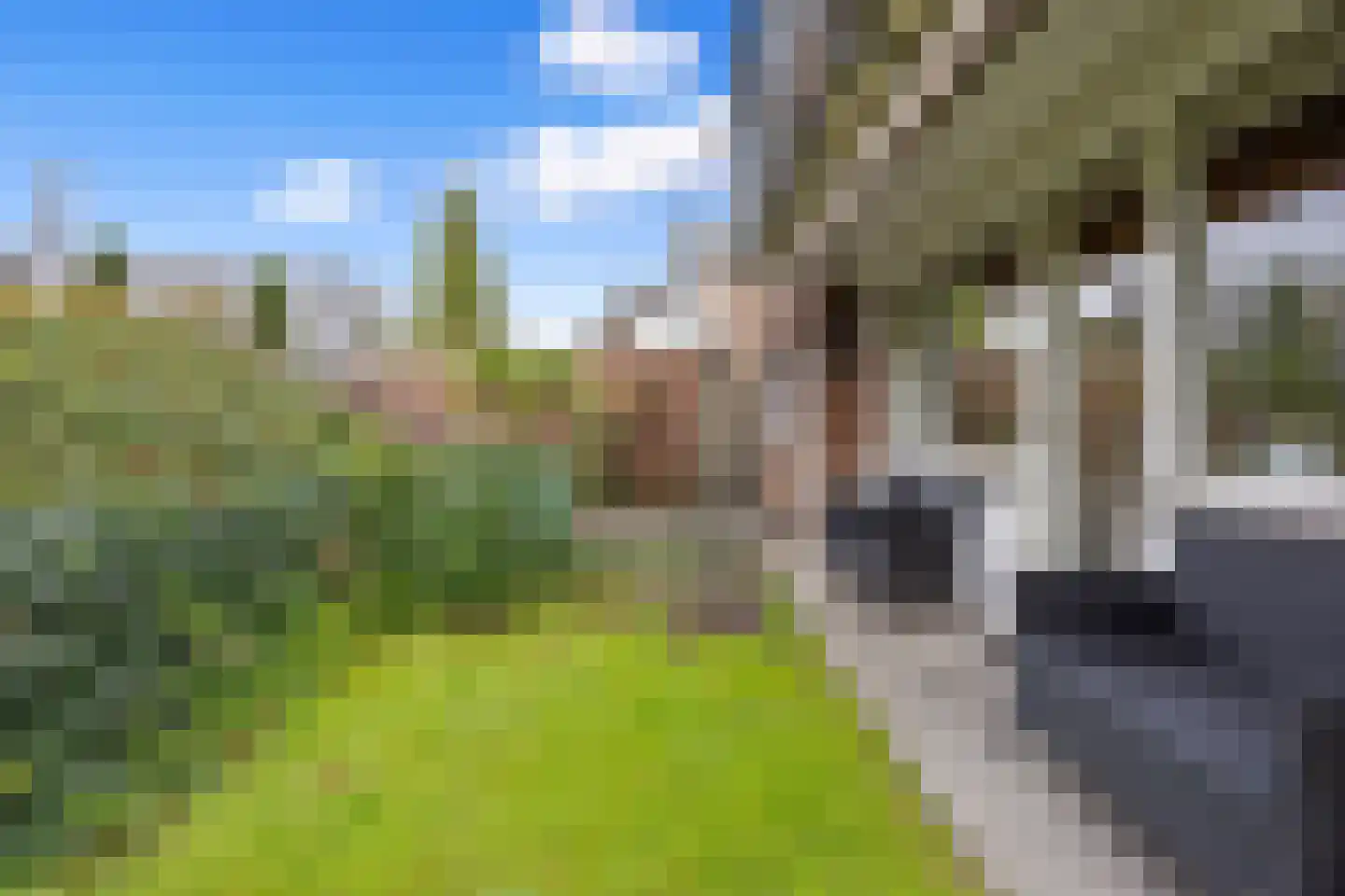 Amersfoort 8 8 Amersfoort thumbnail 31