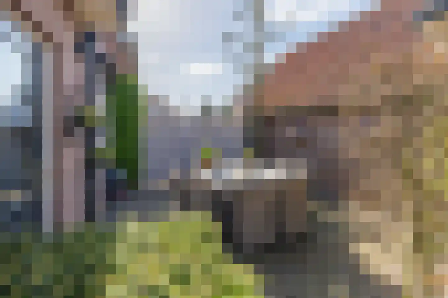 Amersfoortsestraat 104 Barneveld thumbnail 28