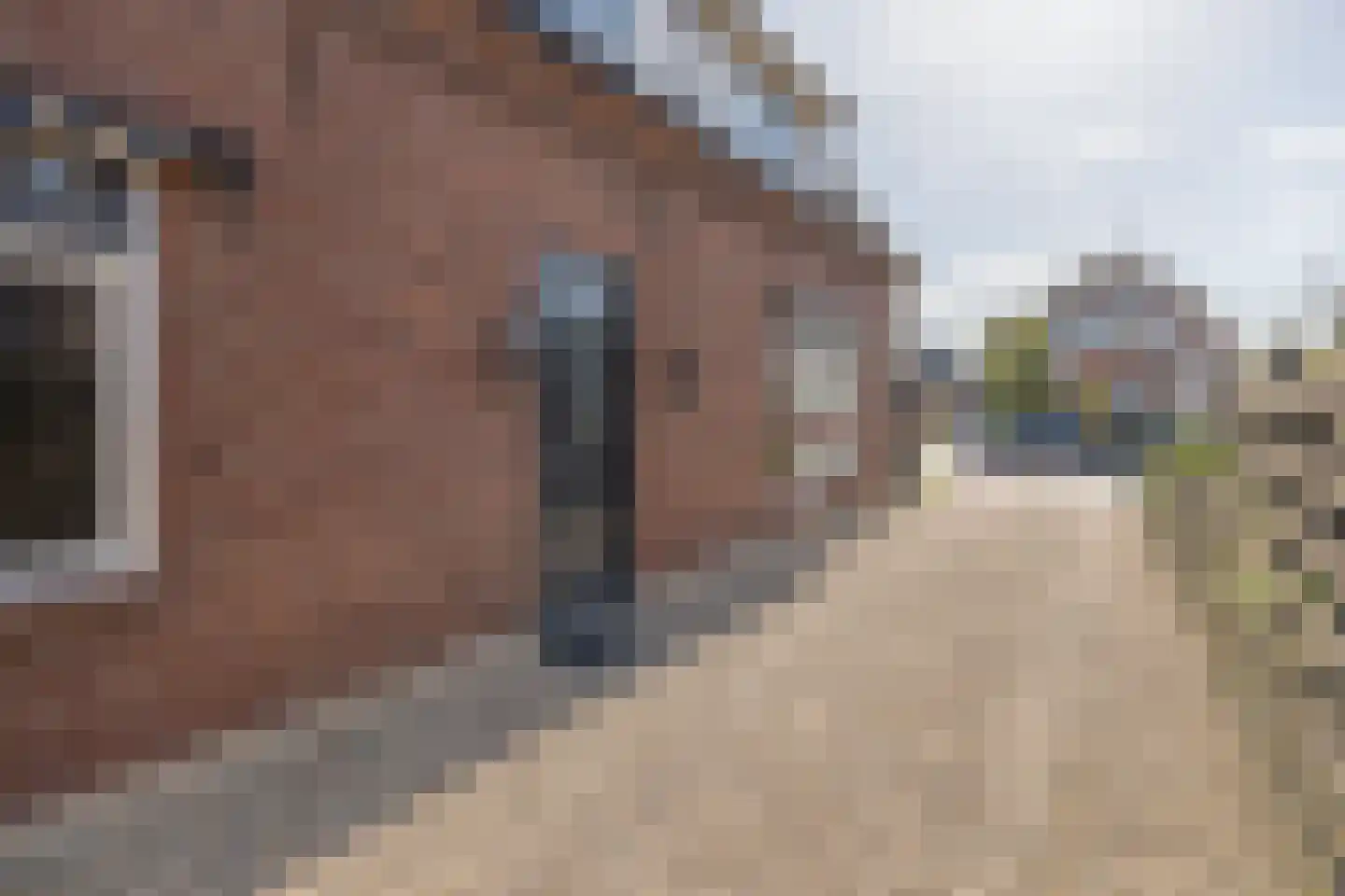 Amersfoortsestraat 104 Barneveld thumbnail 43