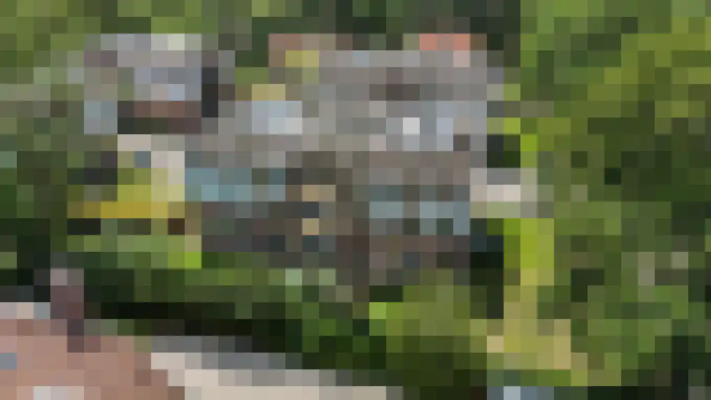 Amersfoortsestraat 124 C 11 Soesterberg thumbnail 42