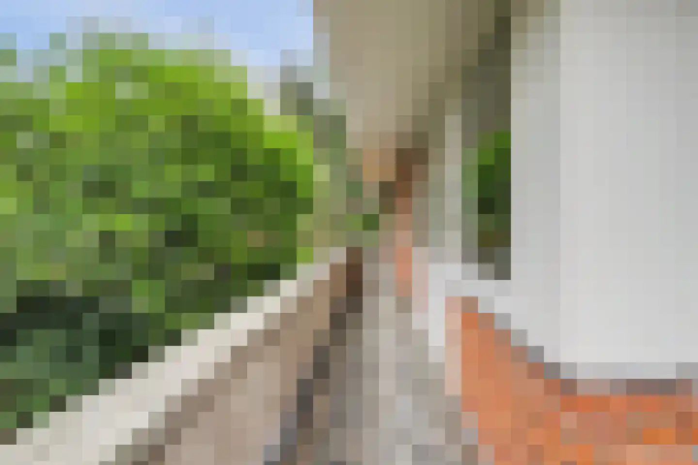 Amersfoortsestraat 134 Soesterberg thumbnail 42