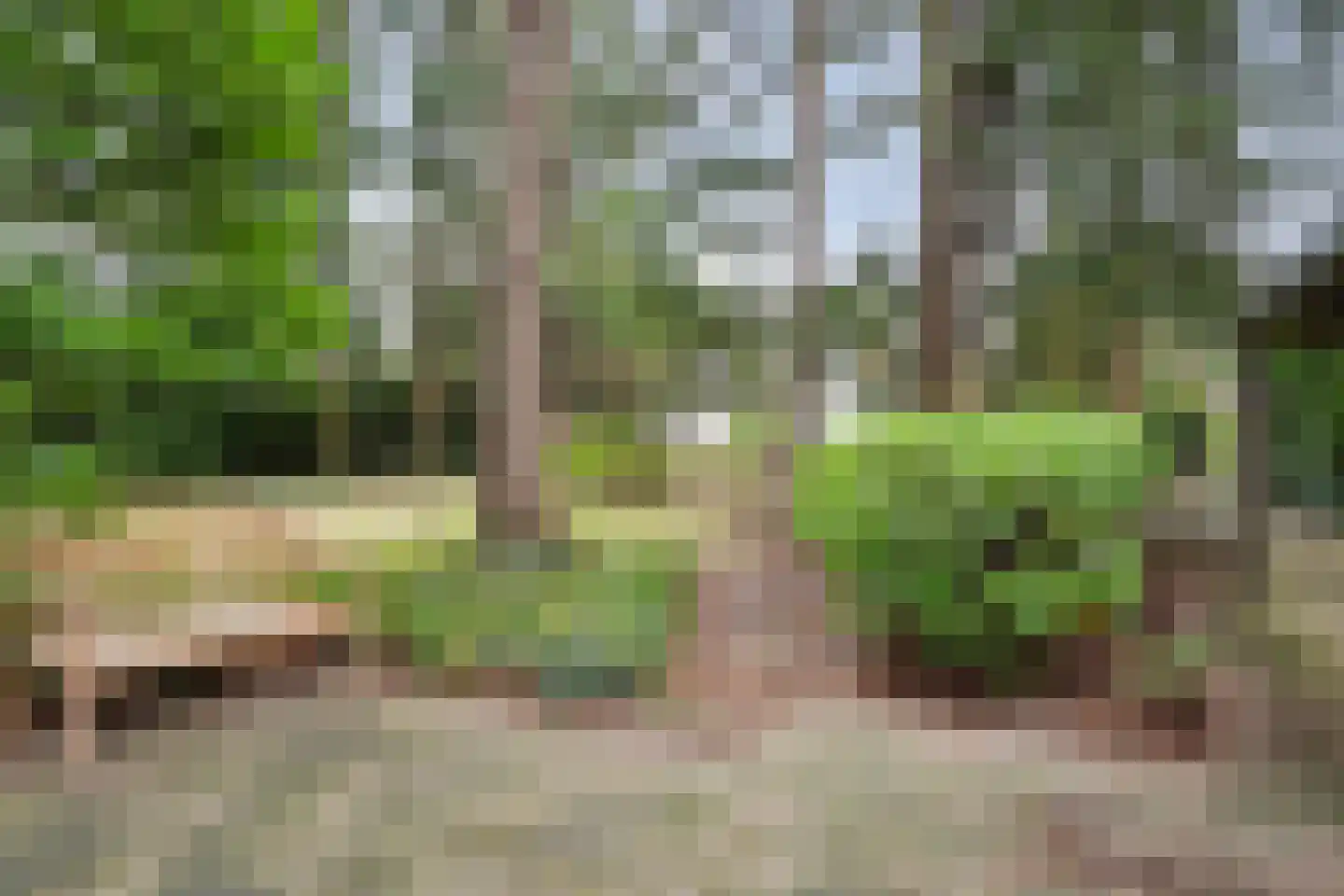 Amersfoortsestraat 134 Soesterberg thumbnail 64