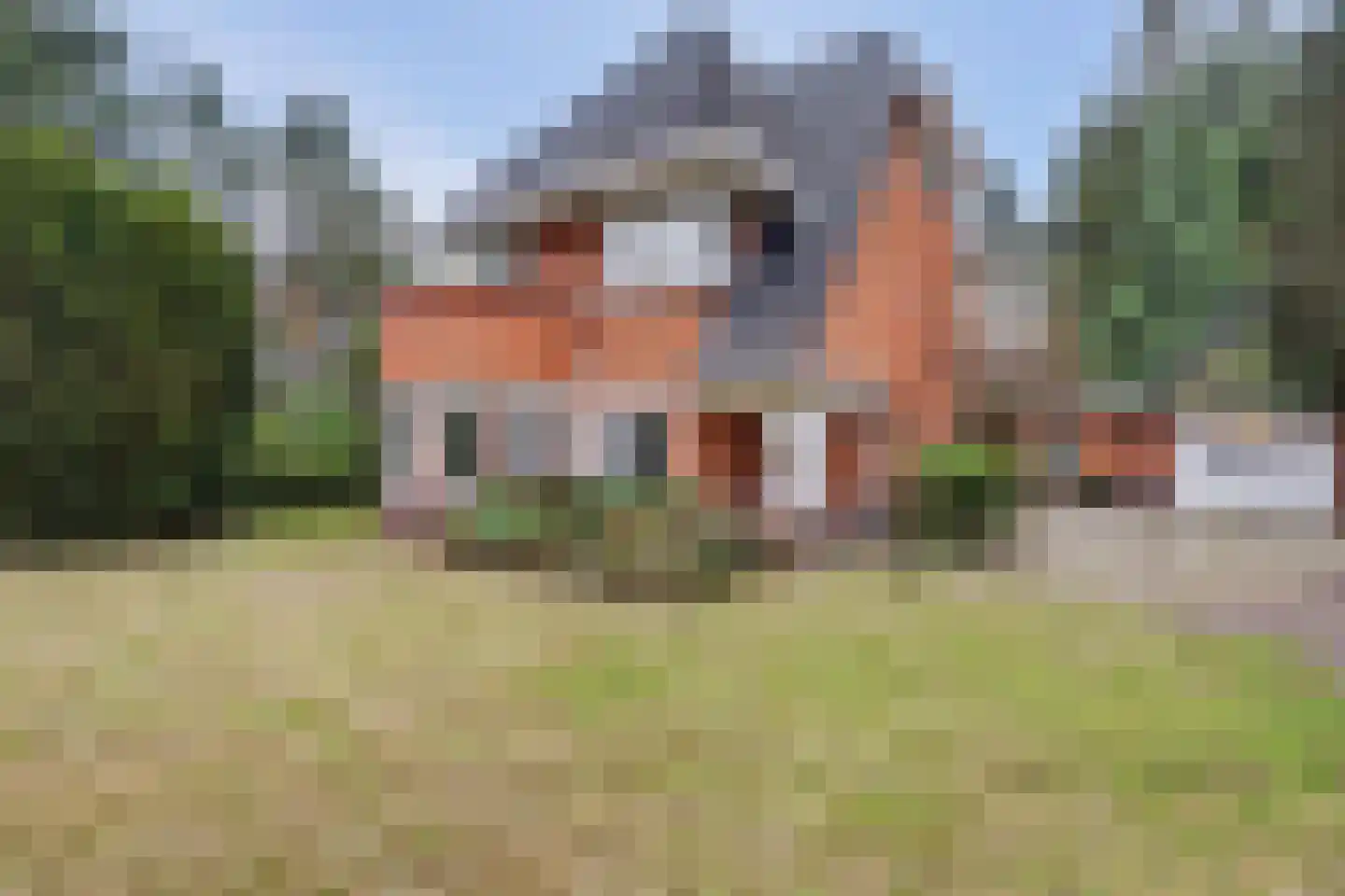 Amersfoortsestraat 134 Soesterberg thumbnail 8