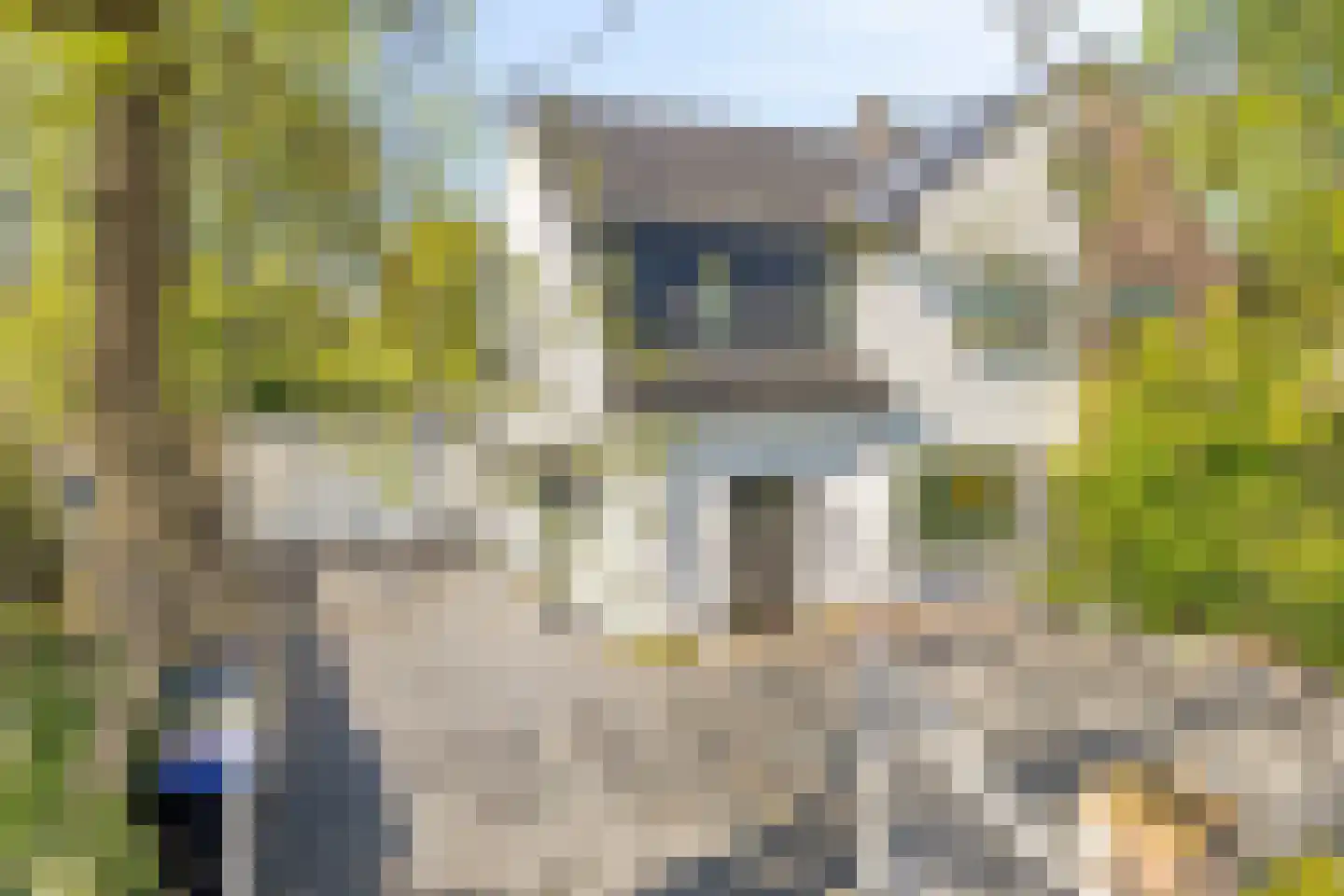 Amersfoortsestraat 31 Soesterberg thumbnail 17