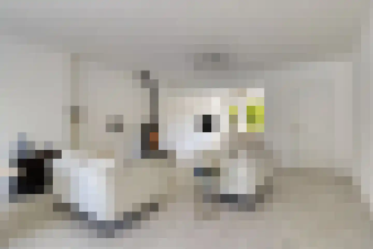 Amersfoortsestraat 31 Soesterberg thumbnail 34