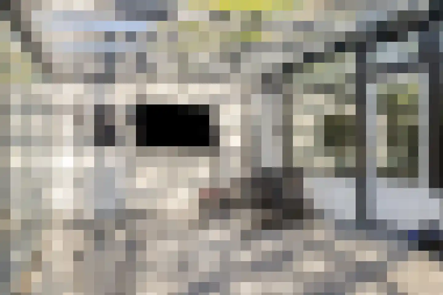 Amersfoortsestraat 31 Soesterberg thumbnail 62