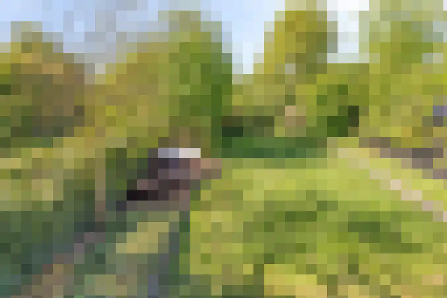 Amersfoortsestraat 31 Soesterberg thumbnail 65