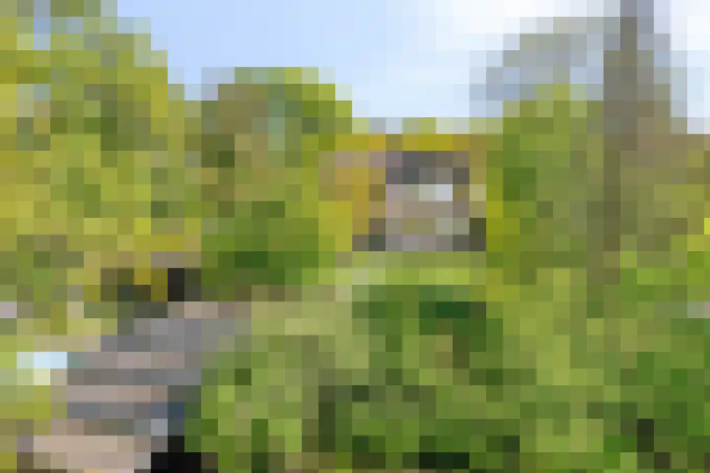 Amersfoortsestraat 31 Soesterberg thumbnail 67