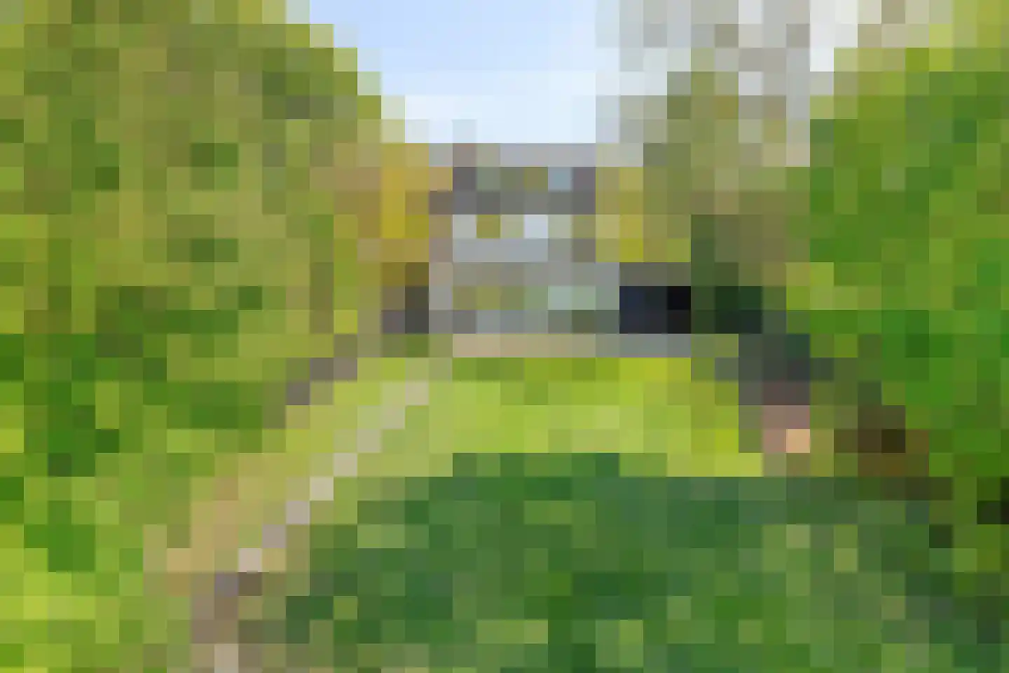 Amersfoortsestraat 31 Soesterberg thumbnail 68