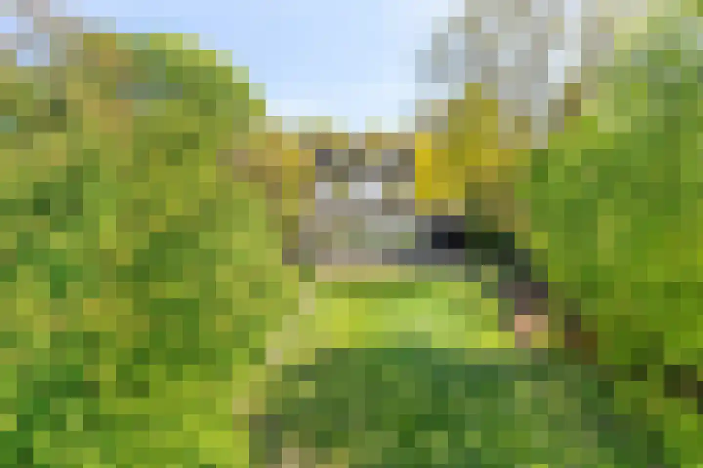 Amersfoortsestraat 31 Soesterberg thumbnail 69