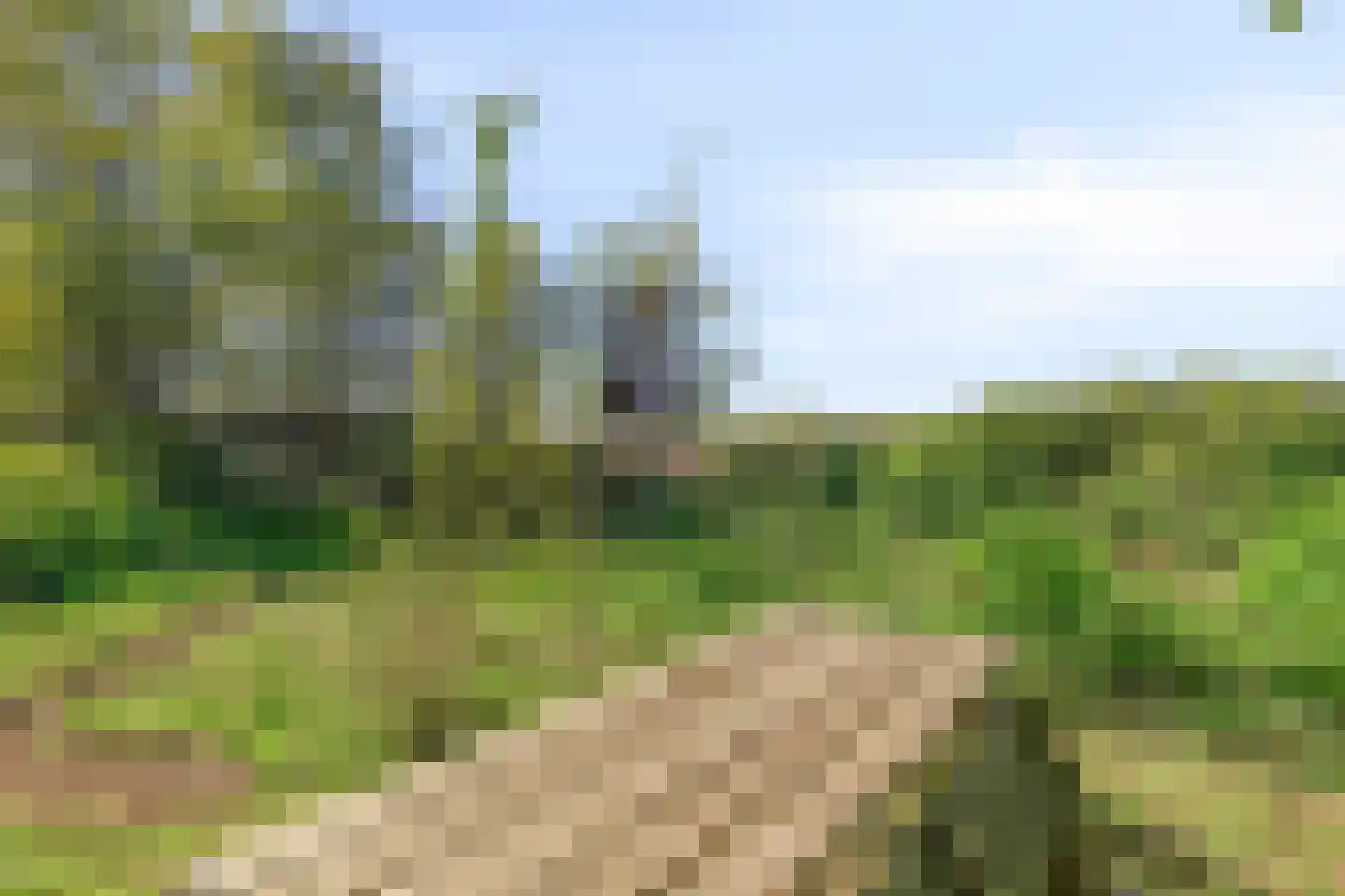 Amersfoortsestraat 31 Soesterberg thumbnail 72