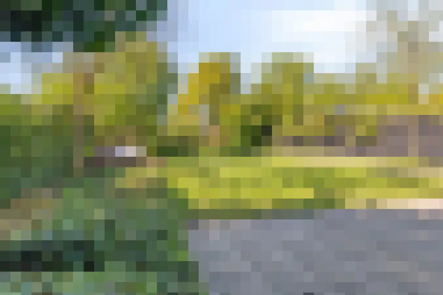 Amersfoortsestraat 31 Soesterberg thumbnail 89