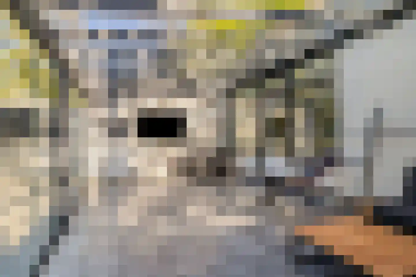 Amersfoortsestraat 31 Soesterberg thumbnail 91
