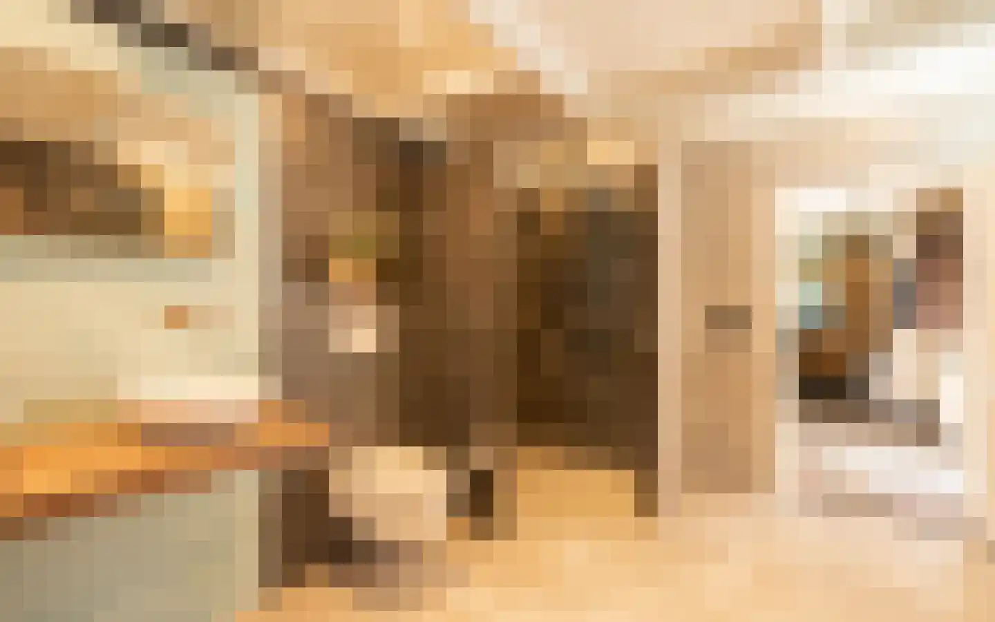 Amersfoortsestraat 40 Barneveld thumbnail 39