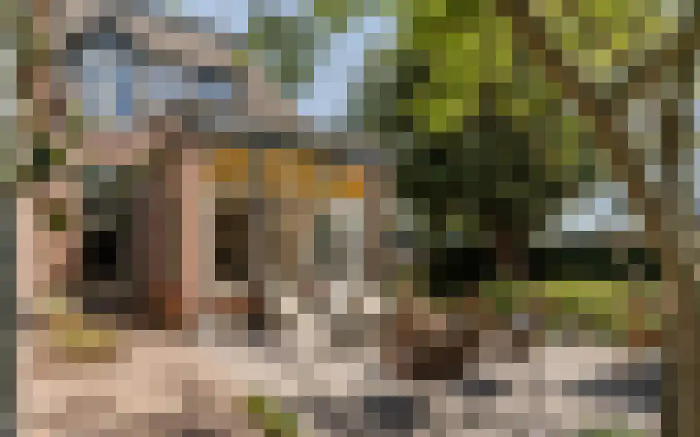 Amersfoortsestraat 40 Barneveld thumbnail 70