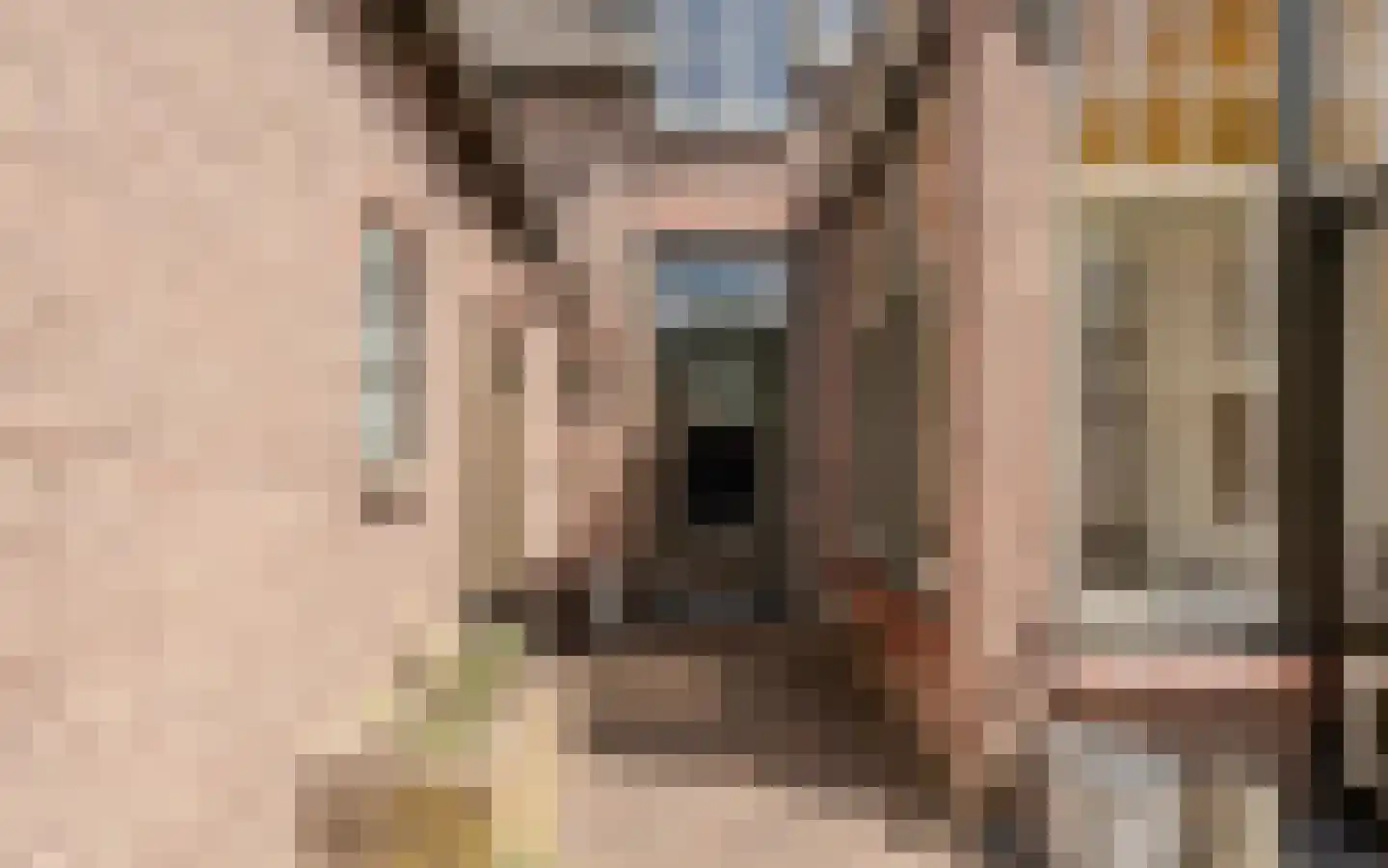 Amersfoortsestraat 40 Barneveld thumbnail 71
