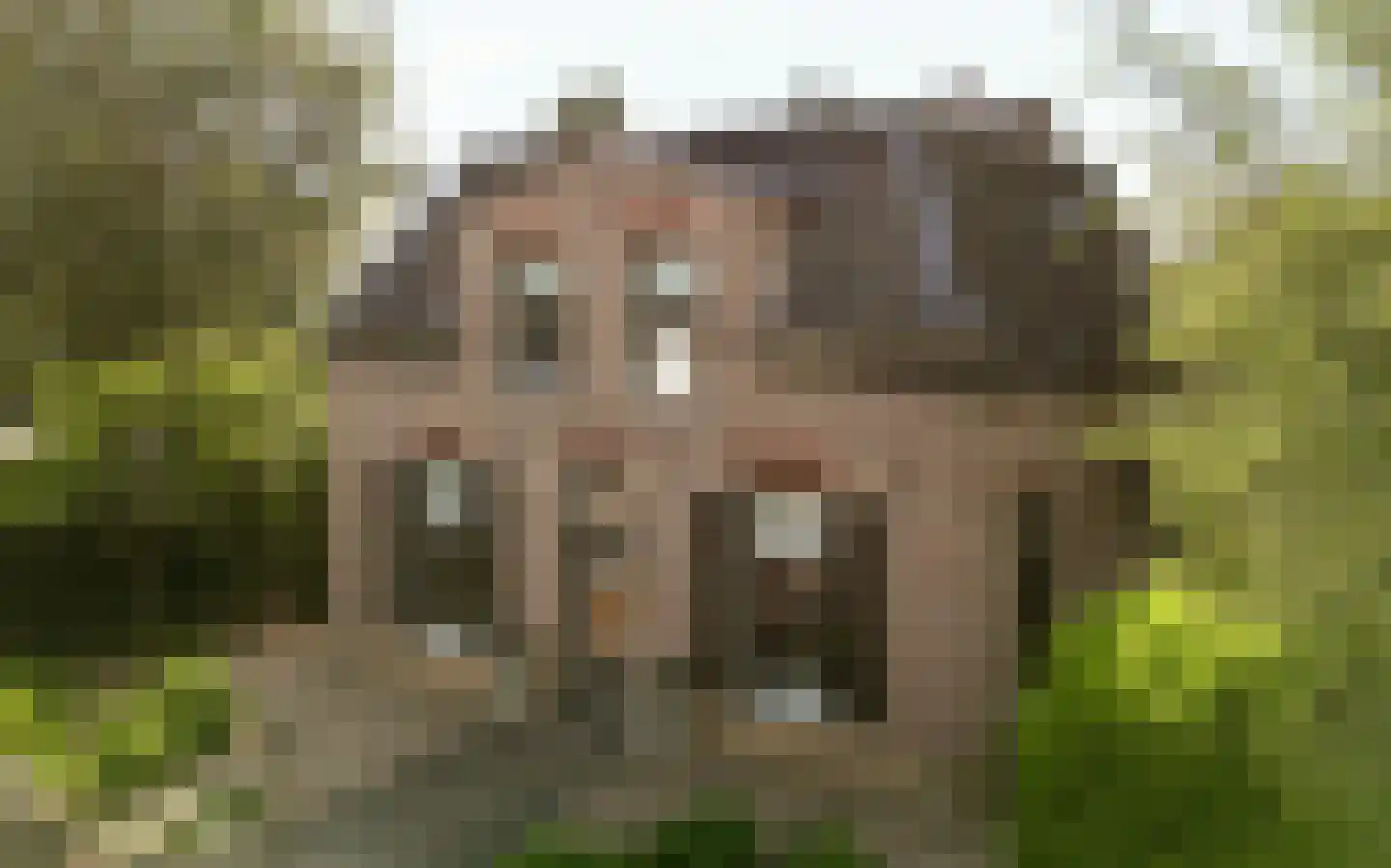 Amersfoortsestraat 40 Barneveld thumbnail 89