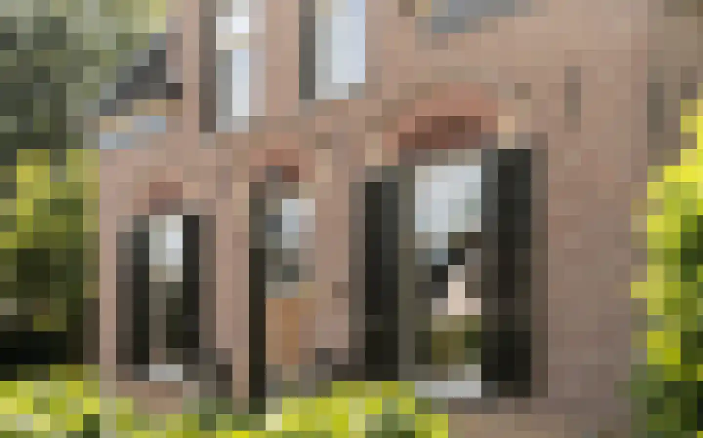 Amersfoortsestraat 40 Barneveld thumbnail 9