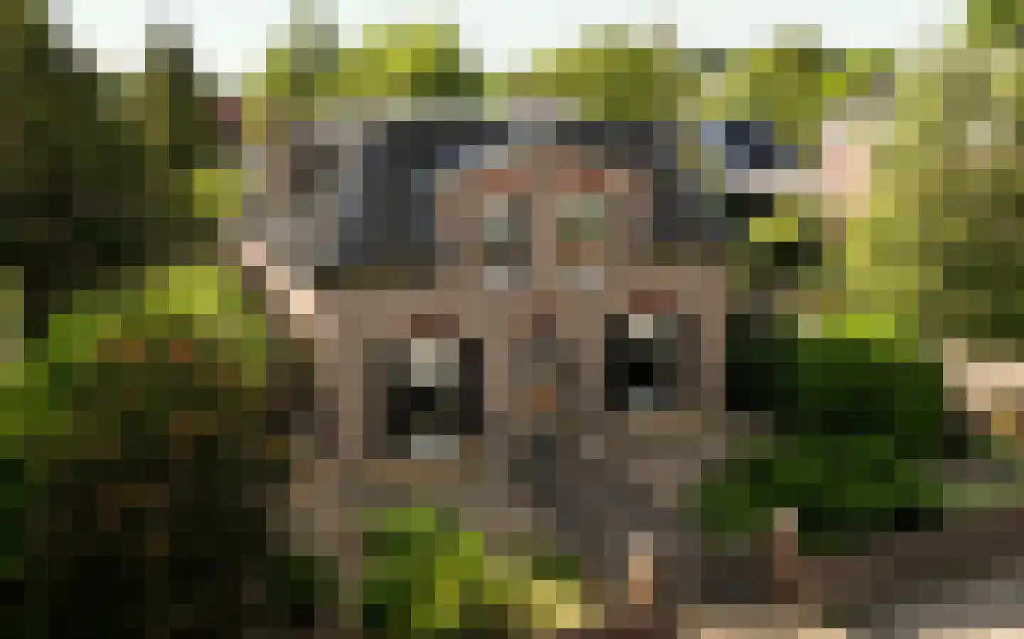 Amersfoortsestraat 40 Barneveld thumbnail 90