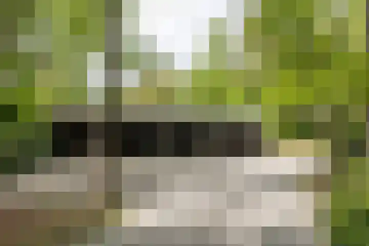 Amersfoortsestraat 71 Soesterberg thumbnail 55
