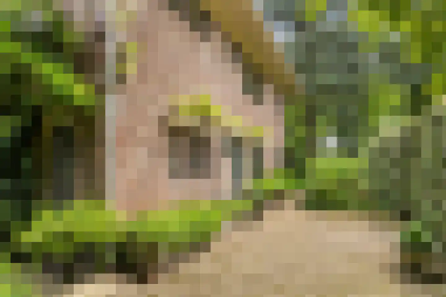 Amersfoortsestraat 73 Soesterberg thumbnail 10