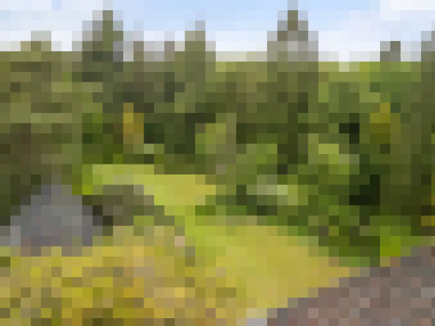 Amersfoortsestraat 73 Soesterberg thumbnail 100