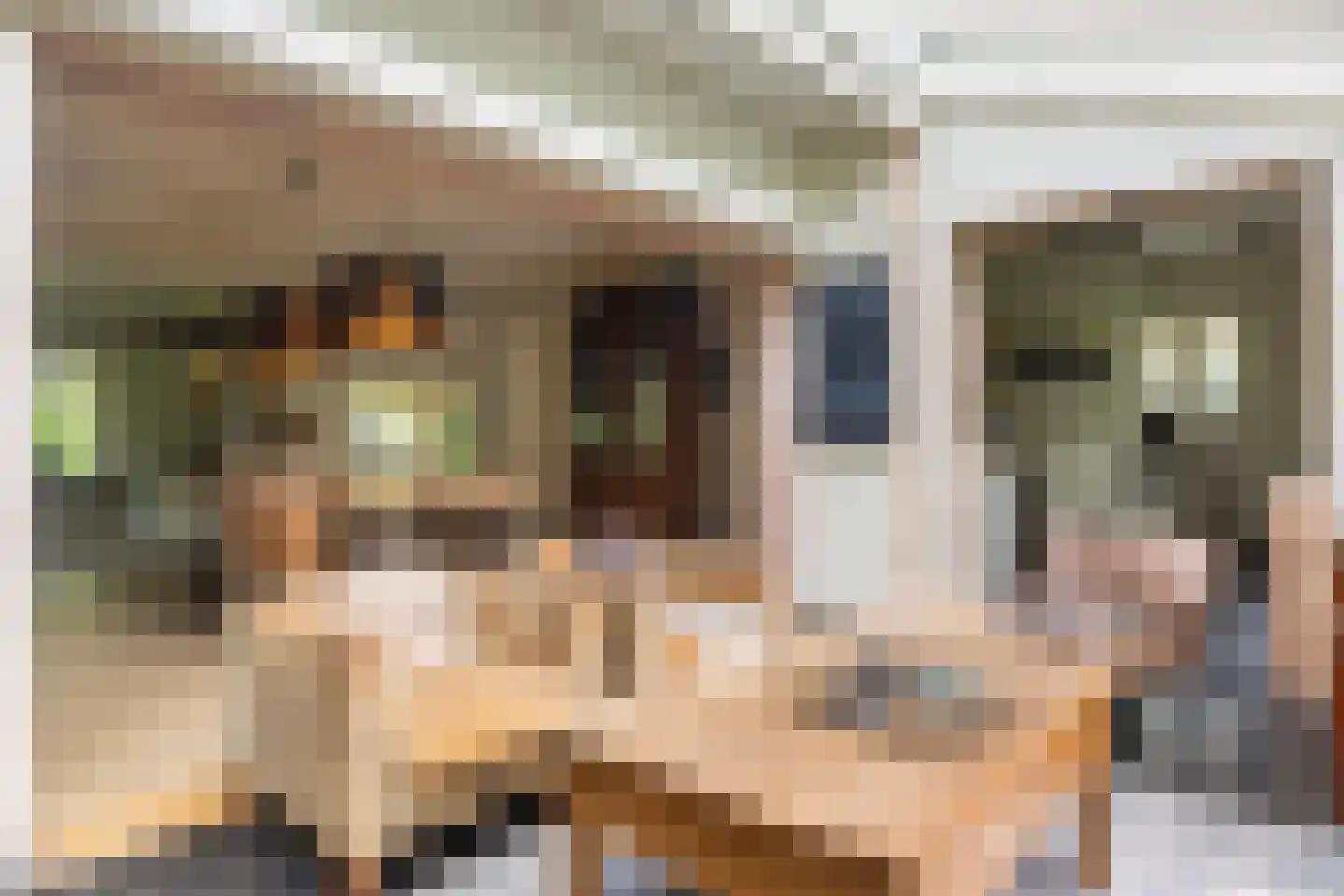 Amersfoortsestraat 73 Soesterberg thumbnail 28