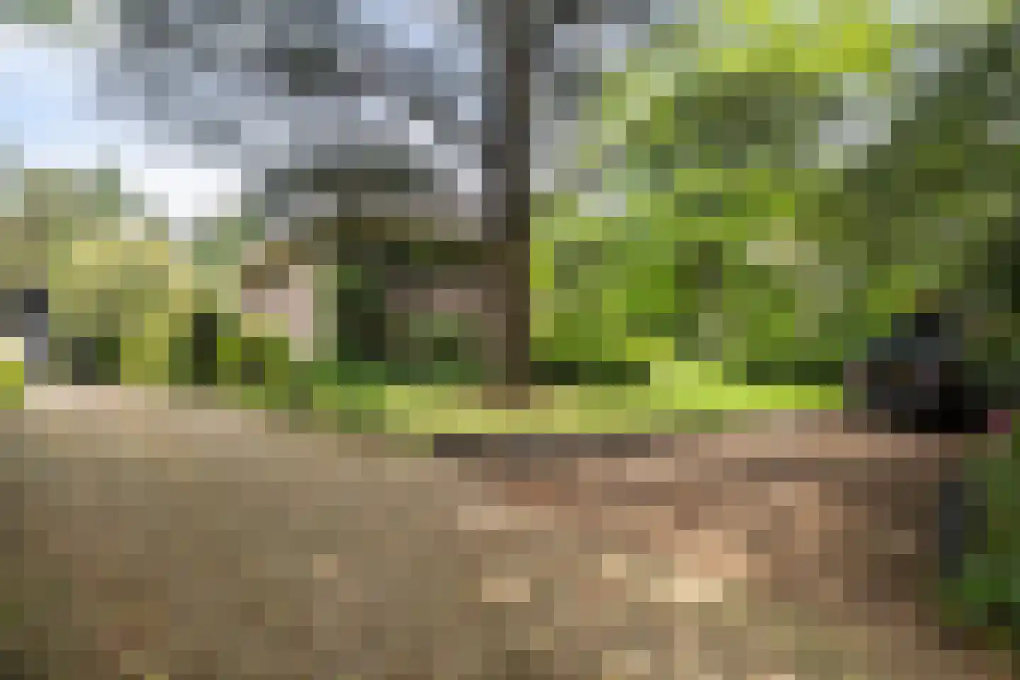 Amersfoortsestraat 73 Soesterberg thumbnail 5