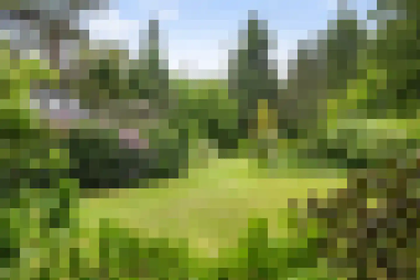 Amersfoortsestraat 73 Soesterberg thumbnail 50