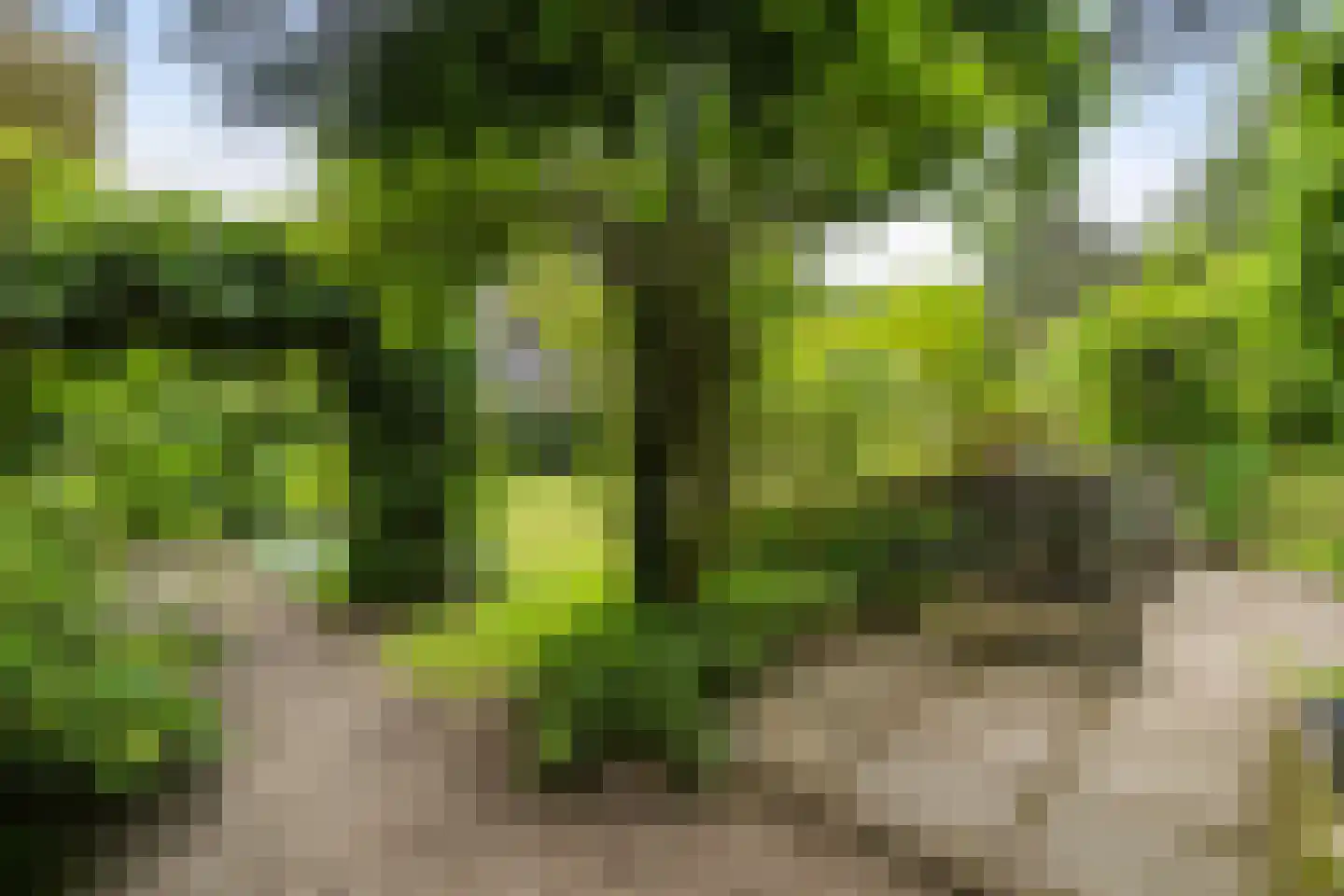 Amersfoortsestraat 73 Soesterberg thumbnail 51