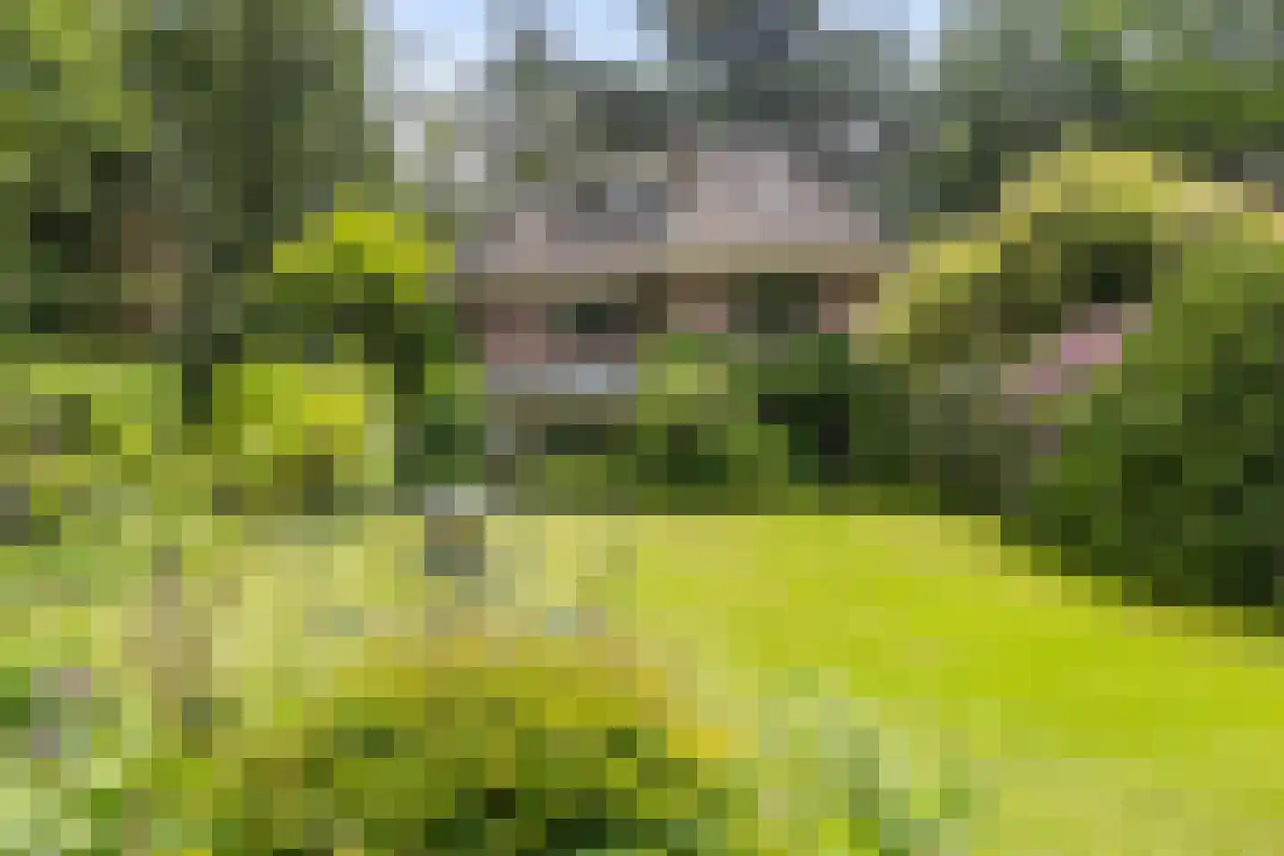 Amersfoortsestraat 73 Soesterberg thumbnail 55