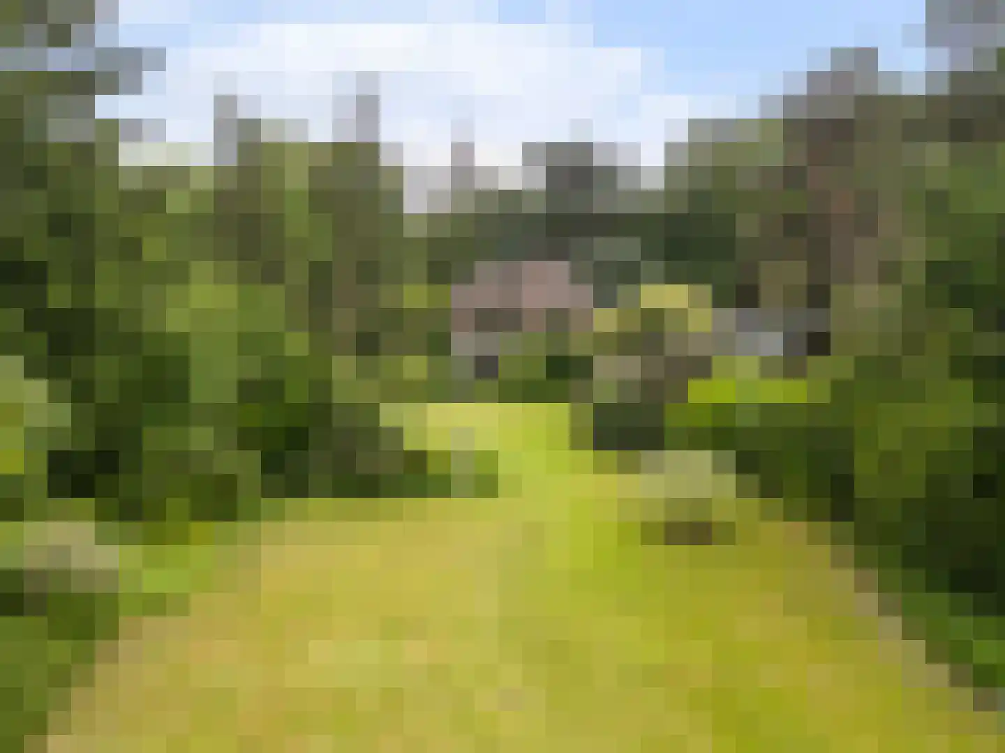 Amersfoortsestraat 73 Soesterberg thumbnail 57