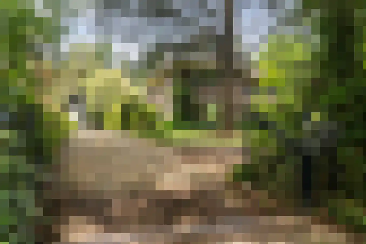 Amersfoortsestraat 73 Soesterberg thumbnail 6