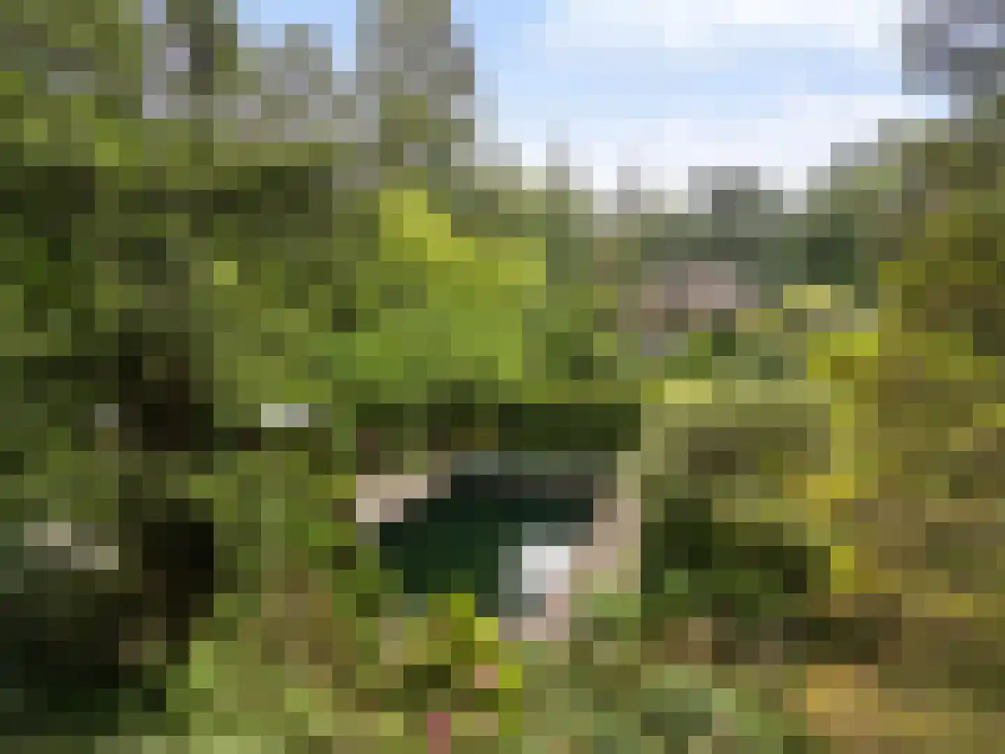 Amersfoortsestraat 73 Soesterberg thumbnail 61