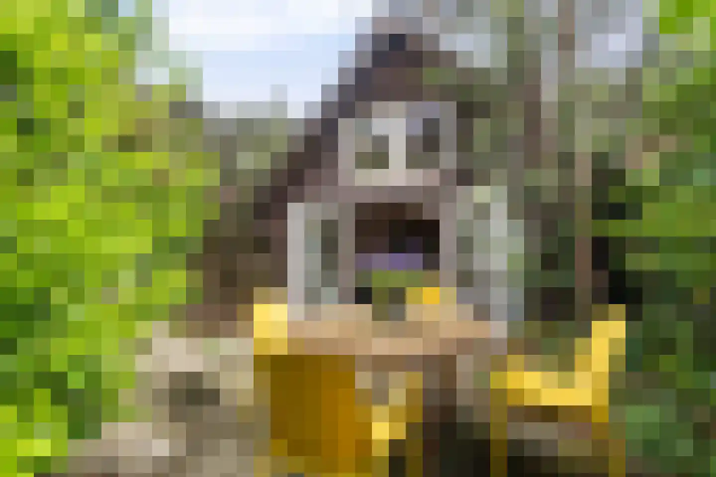Amersfoortsestraat 73 Soesterberg thumbnail 69