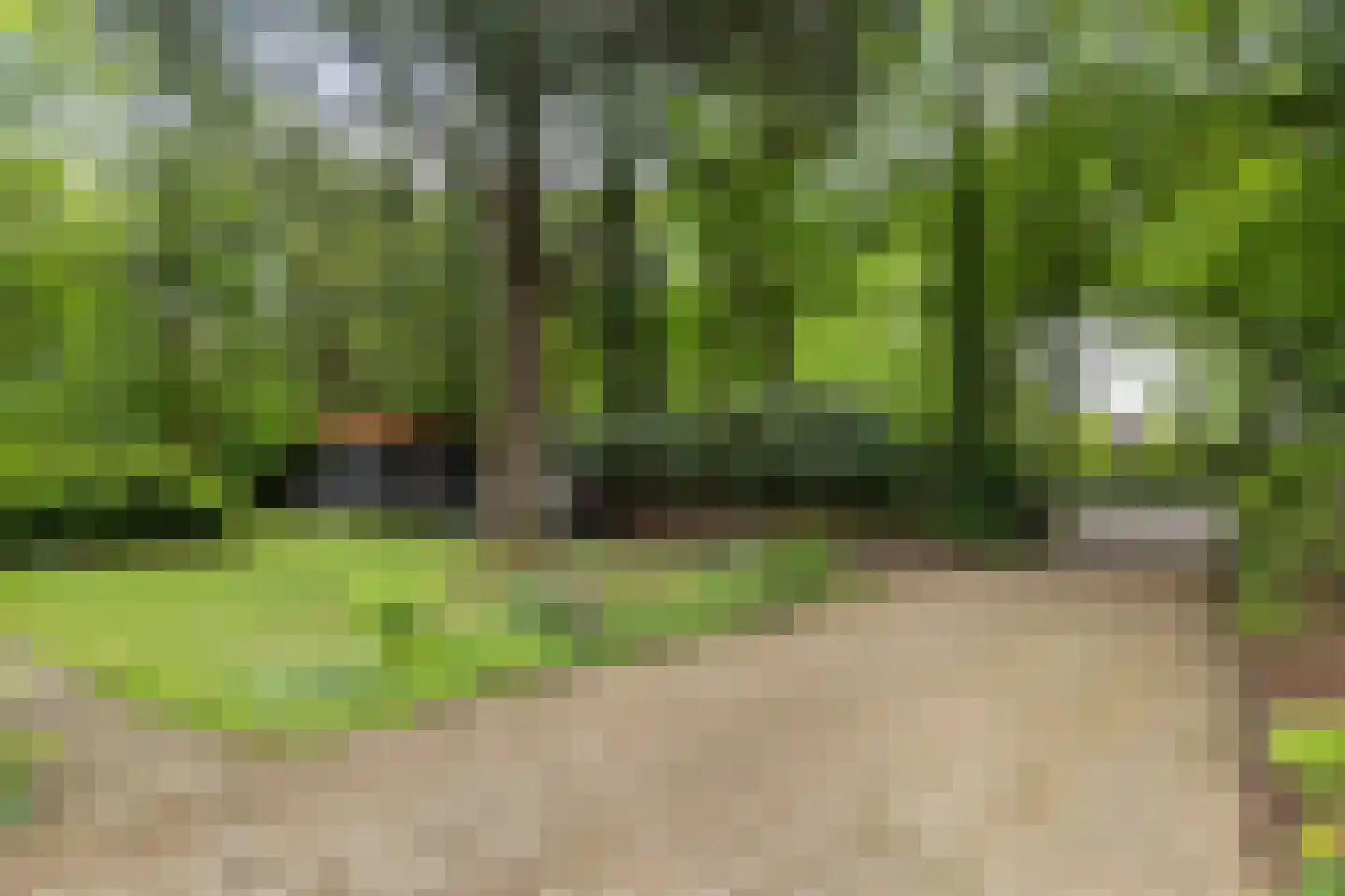 Amersfoortsestraat 73 Soesterberg thumbnail 9
