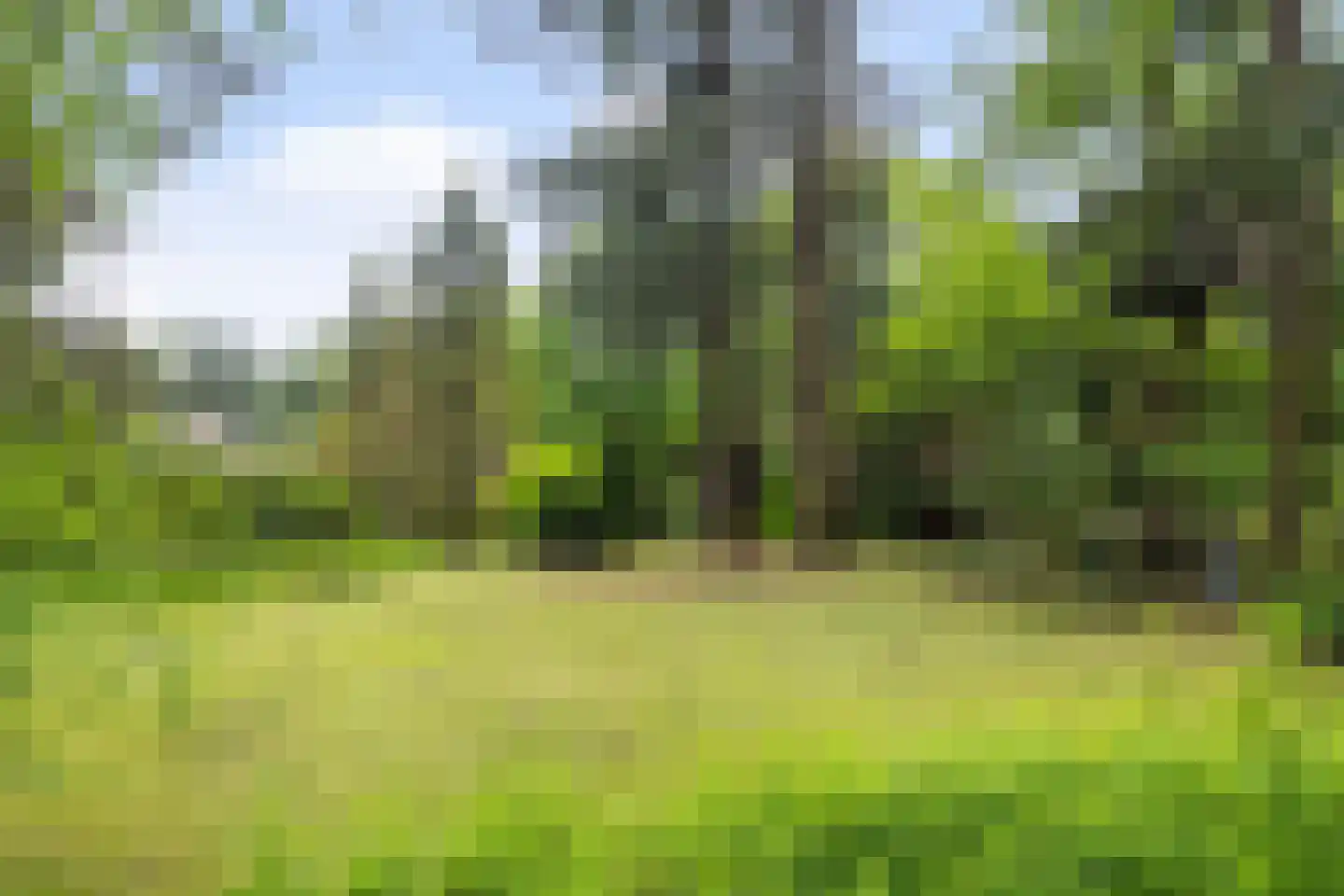 Amersfoortsestraat 73 Soesterberg thumbnail 91